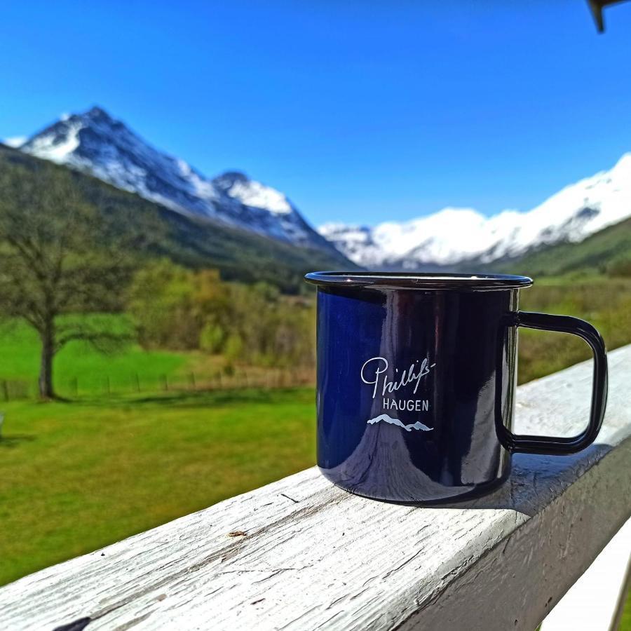 Phillipshaugen Lodge Oksendalsora Kültér fotó
