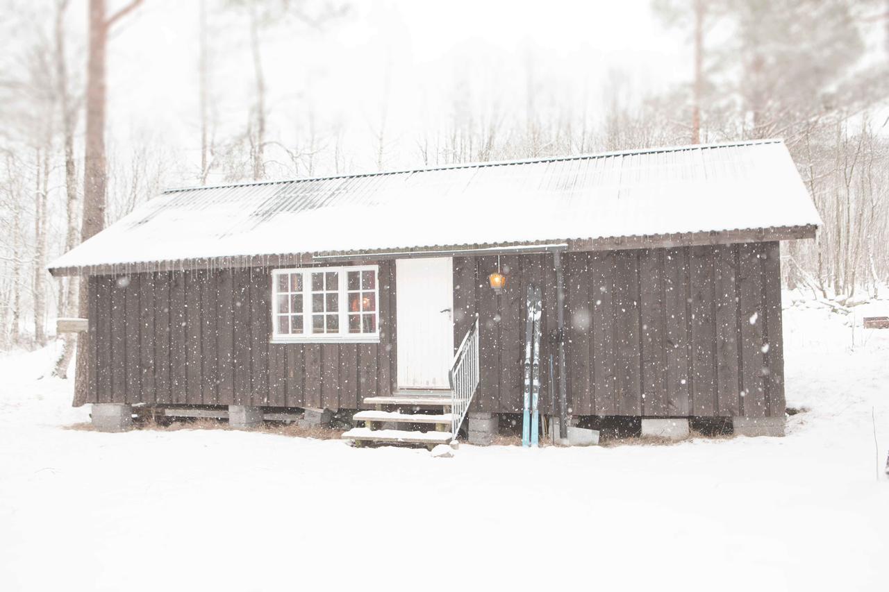Phillipshaugen Lodge Oksendalsora Kültér fotó